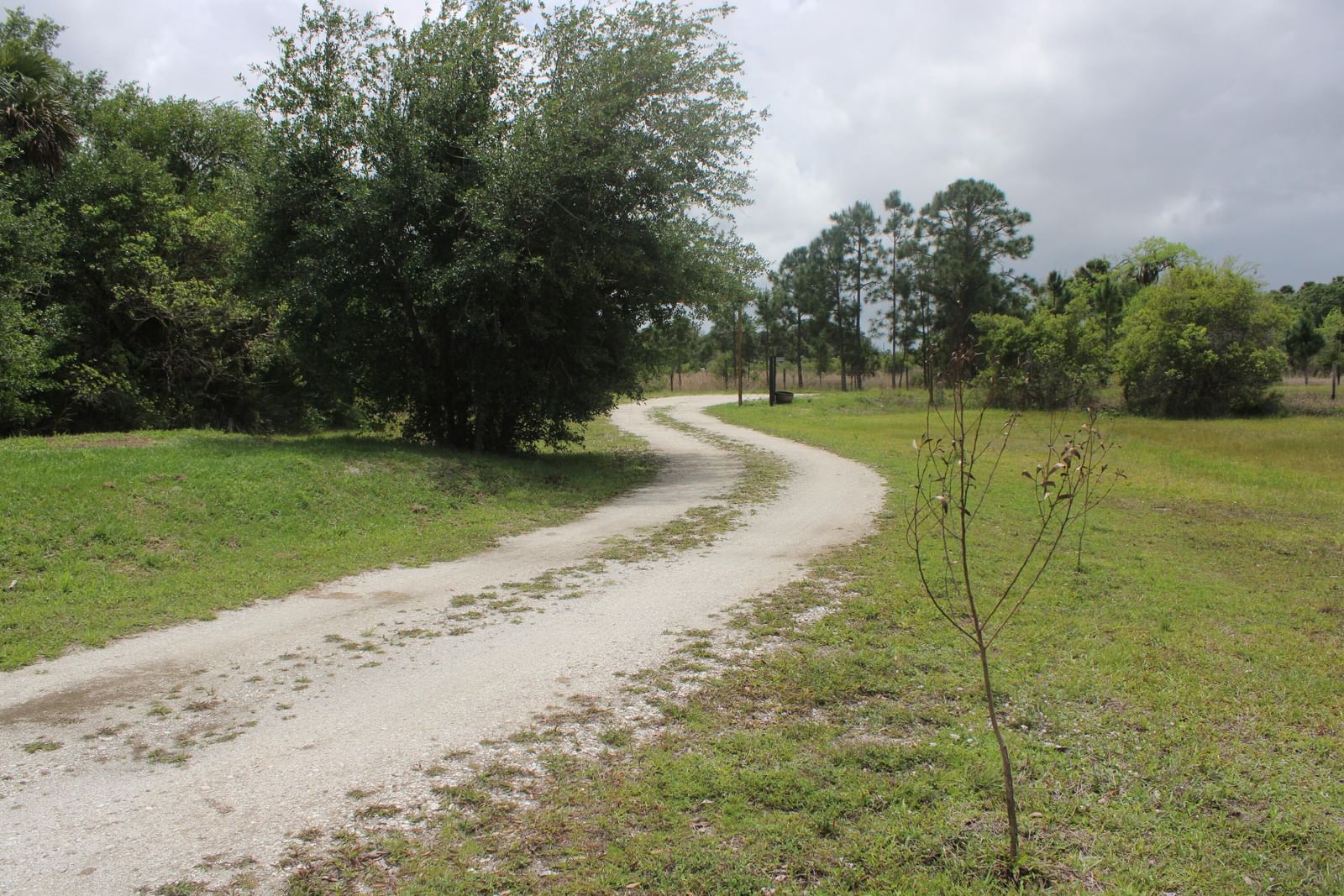 15367 NW 296th Street, Okeechobee, FL 34972 photo 5