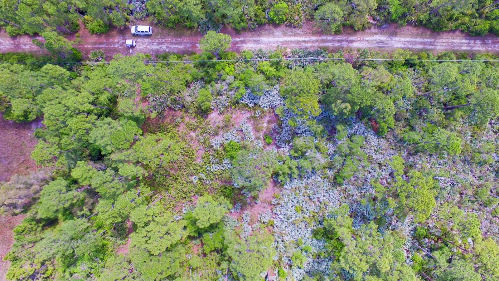 00 Bald Cypress Trail, Fort Pierce, FL 34951 photo 5