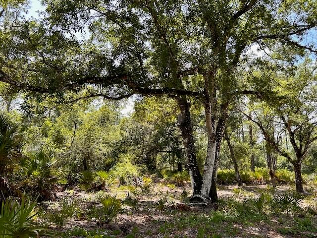 1116 Belmonte Drive, Indian Lake Estates, FL photo 2