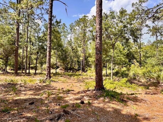1116 Belmonte Drive, Indian Lake Estates, FL photo 3