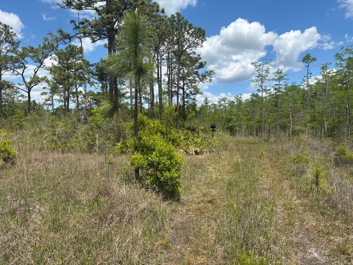 0 Holopaw Groves Road, St Cloud, FL 34772 photo 2