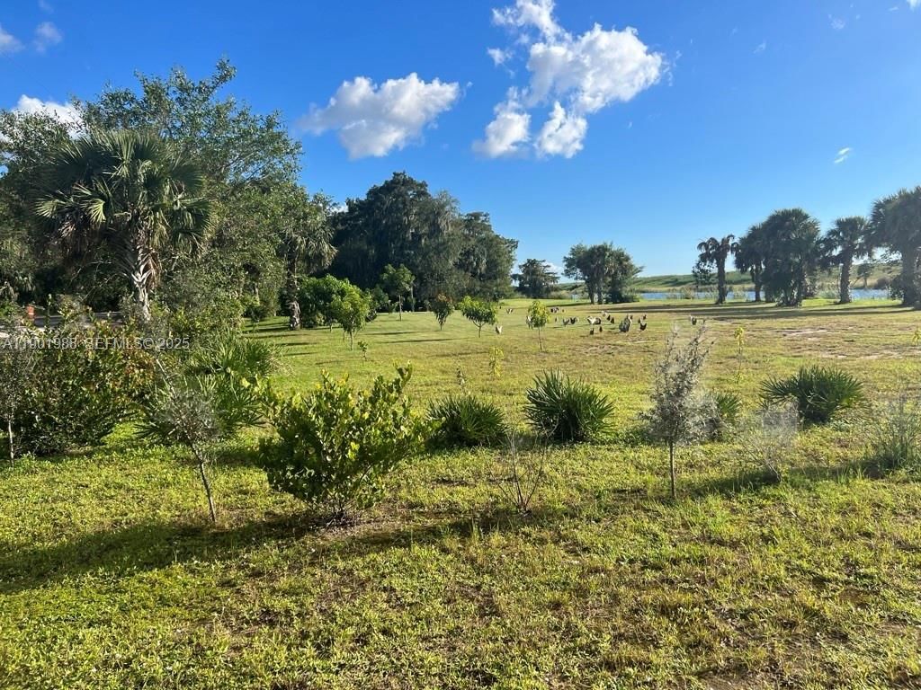 12600 SW Conners Highway, Okeechobee, FL 34974 photo 4