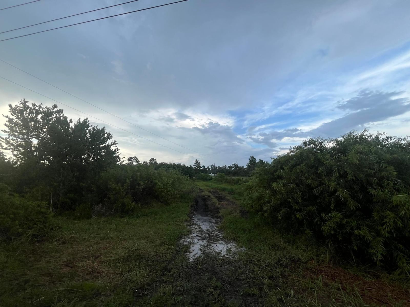 0 E State Rd 60, Okeechobee, FL 34972 photo 2