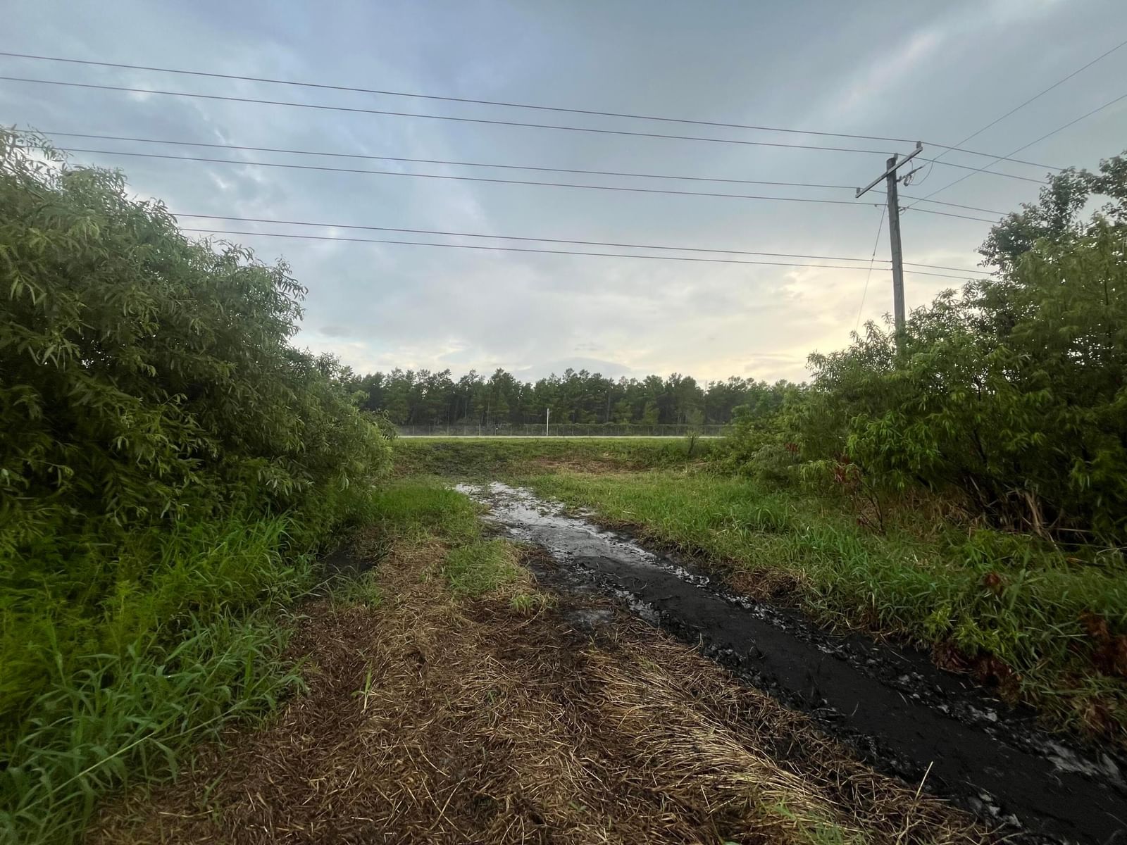 0 E State Rd 60, Okeechobee, FL 34972 photo 5