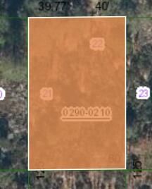 000 Unassigned Location BLVD, Interlachen, FL 32148 photo 3