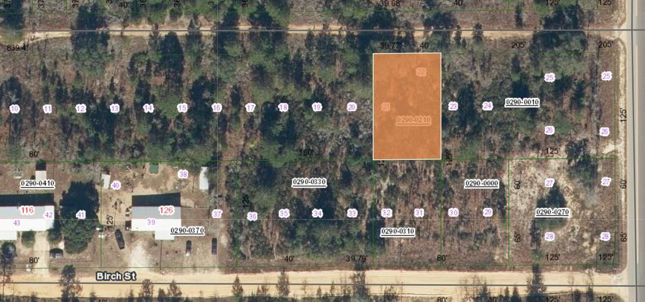 000 Unassigned Location BLVD, Interlachen, FL 32148 photo 4