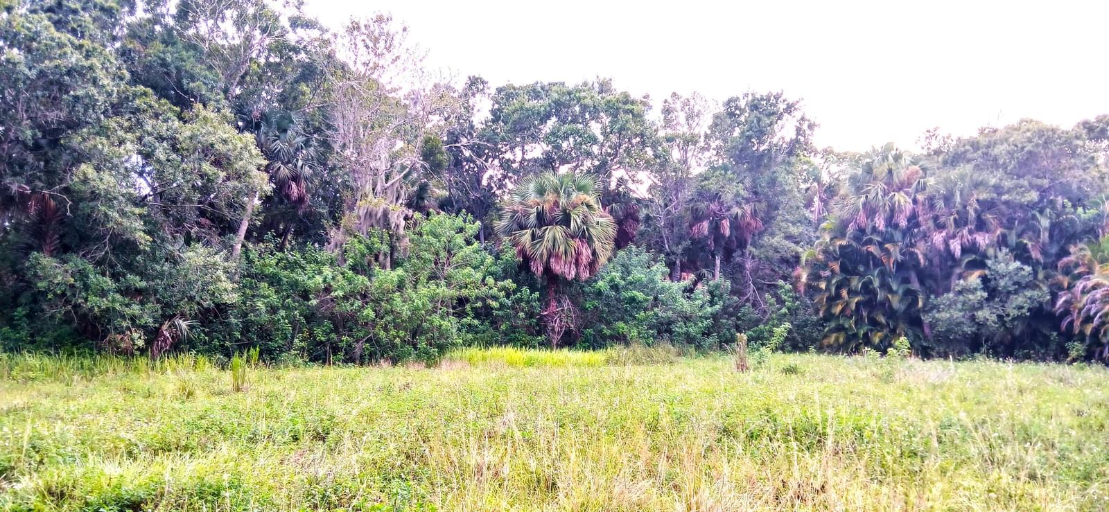 0000 S Us-1, Fort Pierce, FL 34982 photo 2