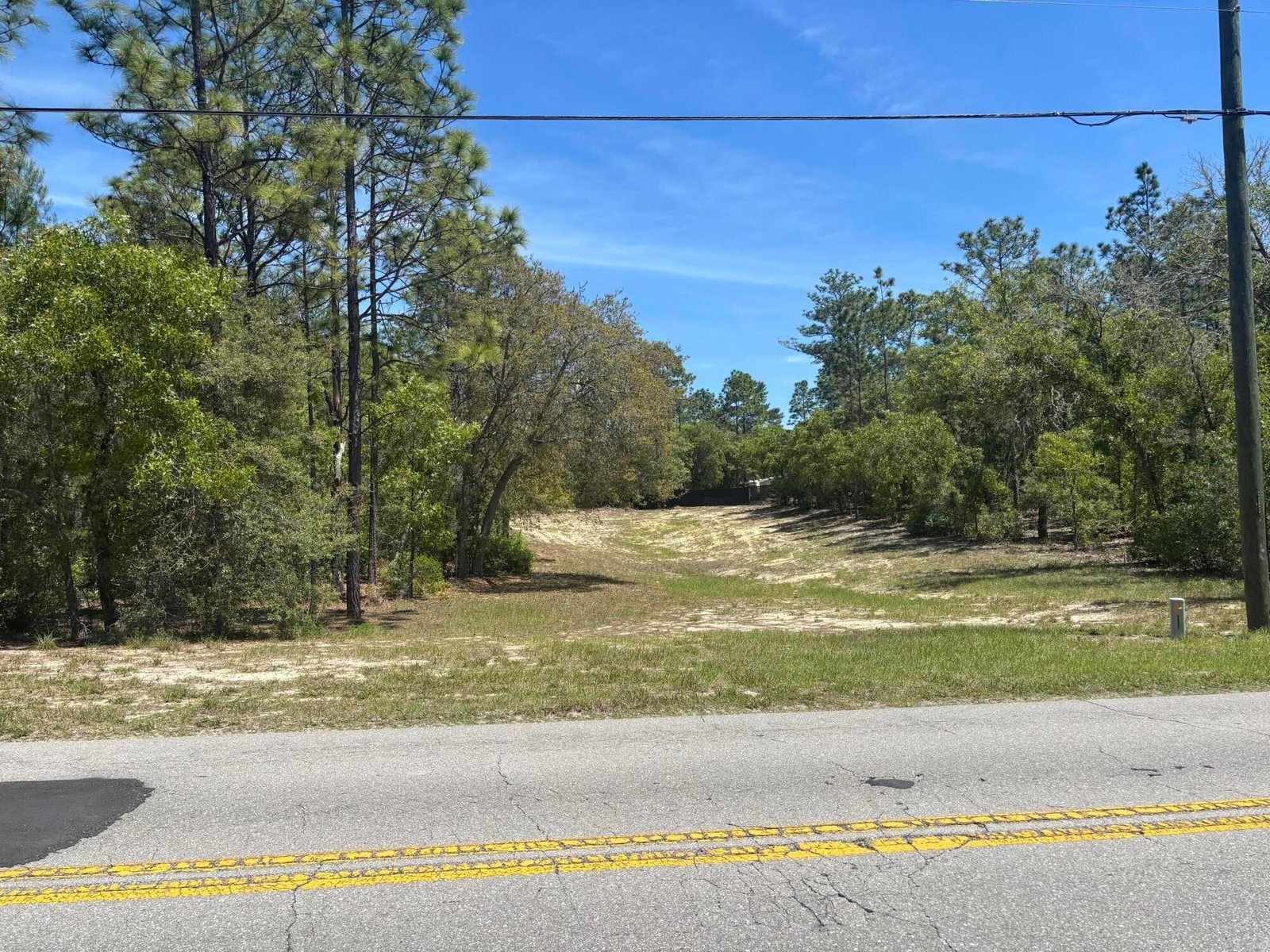 3334 N Annapolis Avenue, Hernando, FL 34442 photo 2