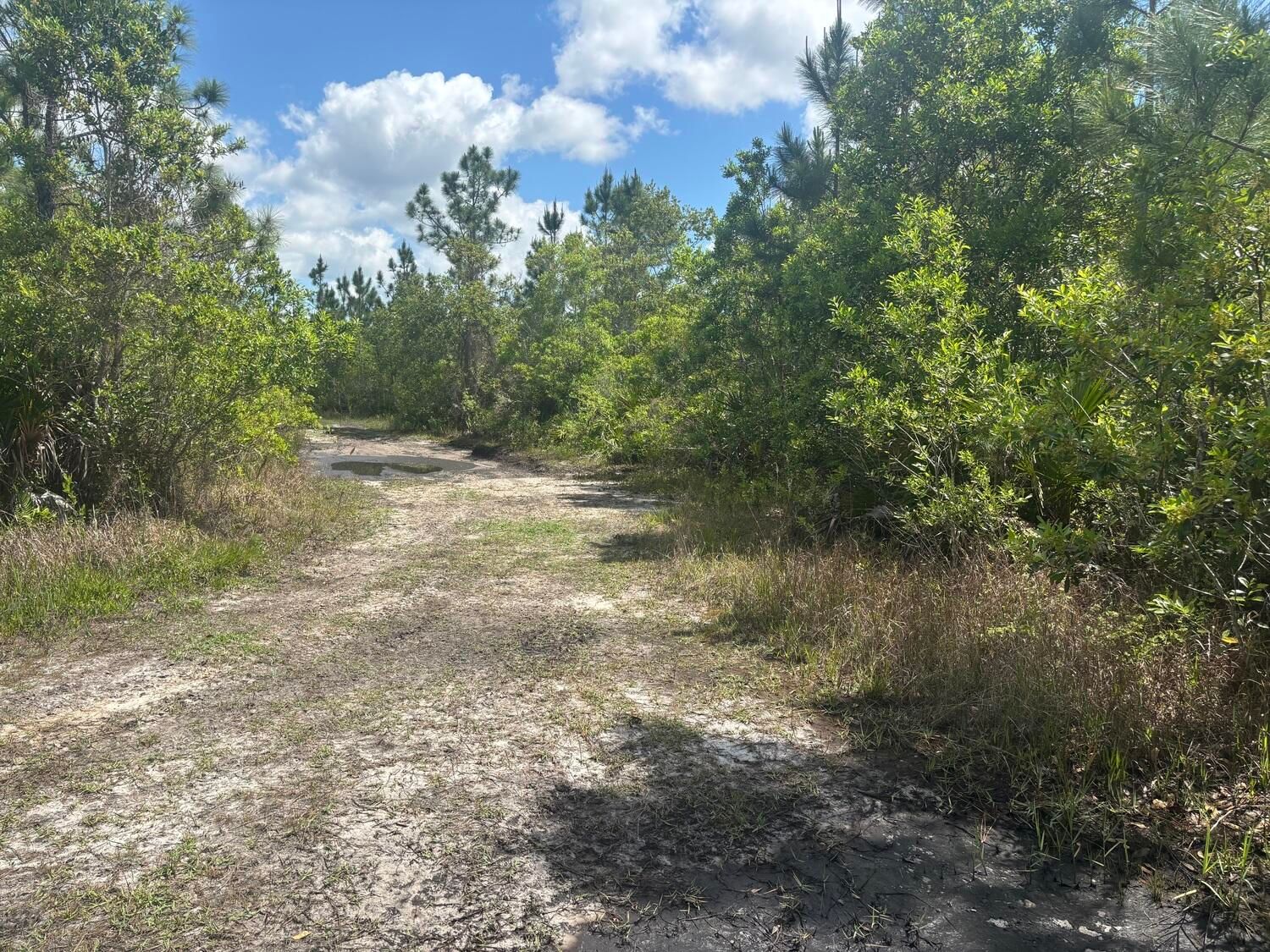 0 Holopaw Groves Road, St Cloud, FL 34772 photo 3
