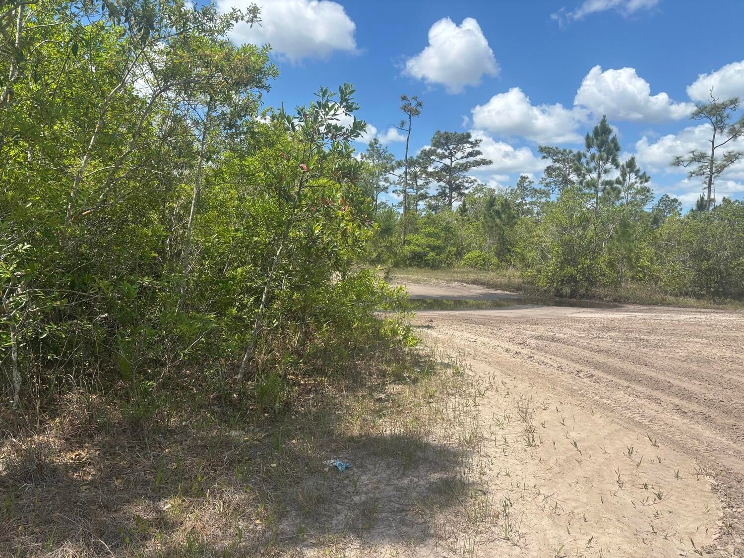 0 Holopaw Groves Road, St Cloud, FL 34772 photo 2