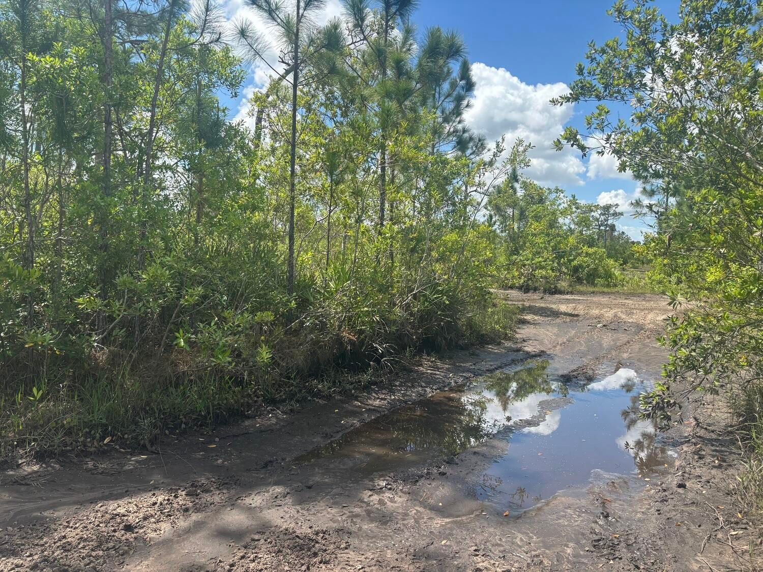 0 Holopaw Groves Road, St Cloud, FL 34772 photo 2
