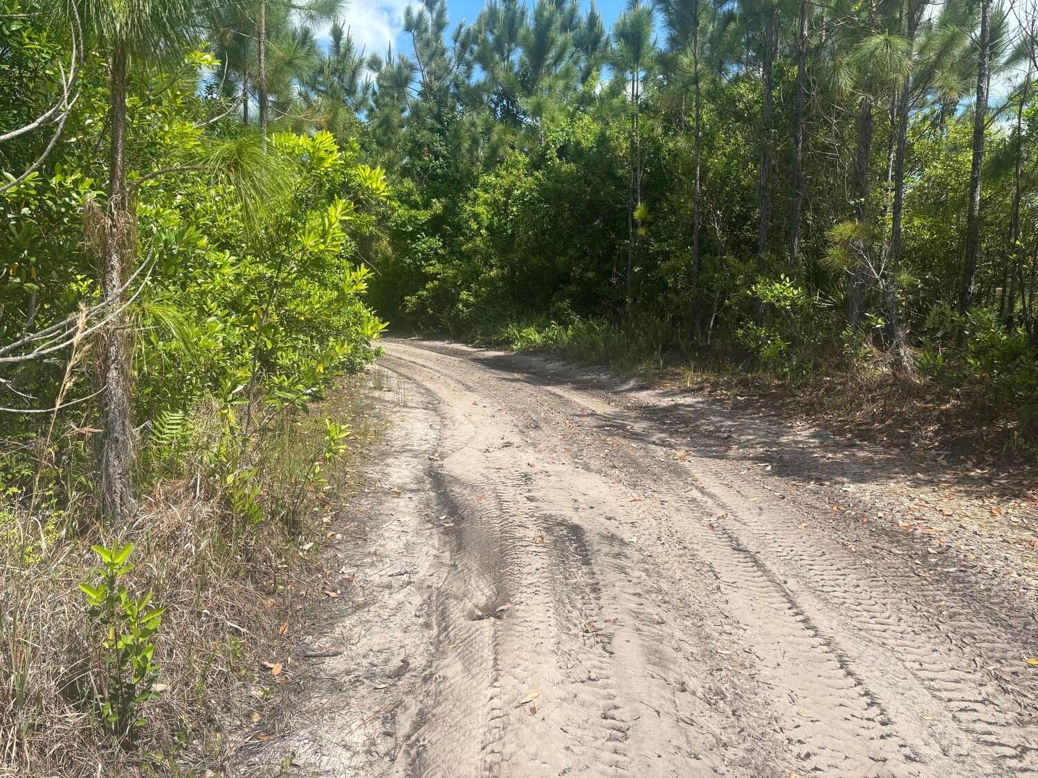 0 Holopaw Groves Road, St Cloud, FL 34772 photo 2