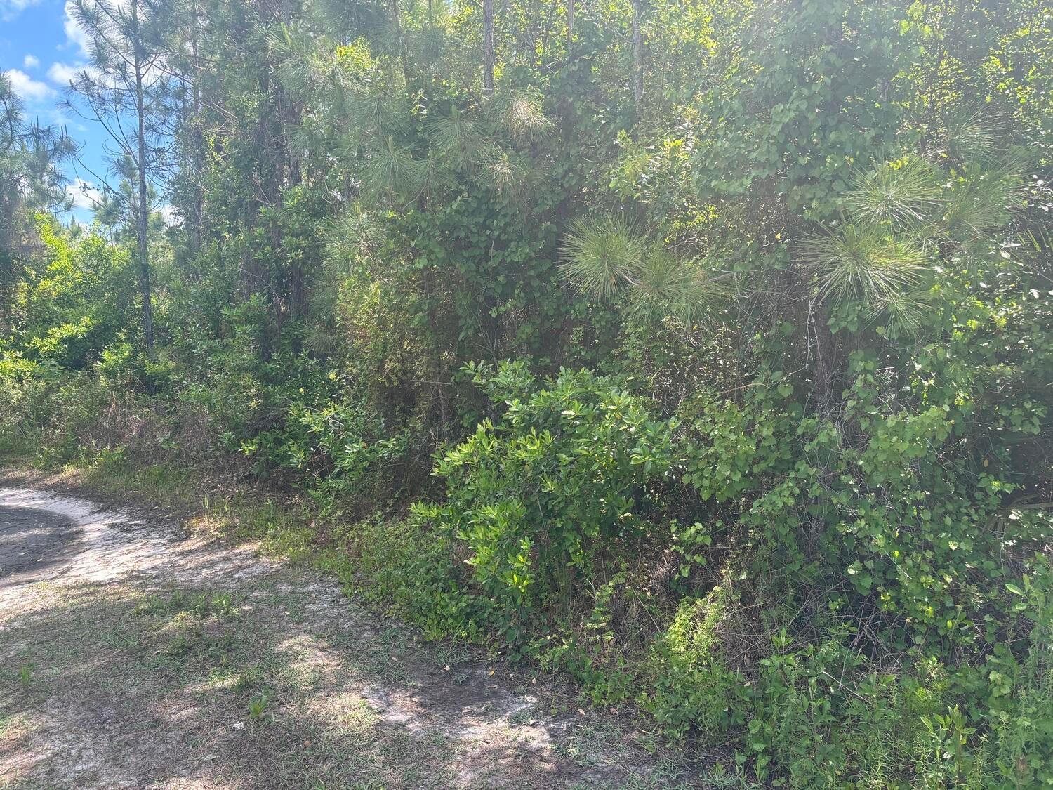0 Holopaw Groves Road, St Cloud, FL 34772 photo 2