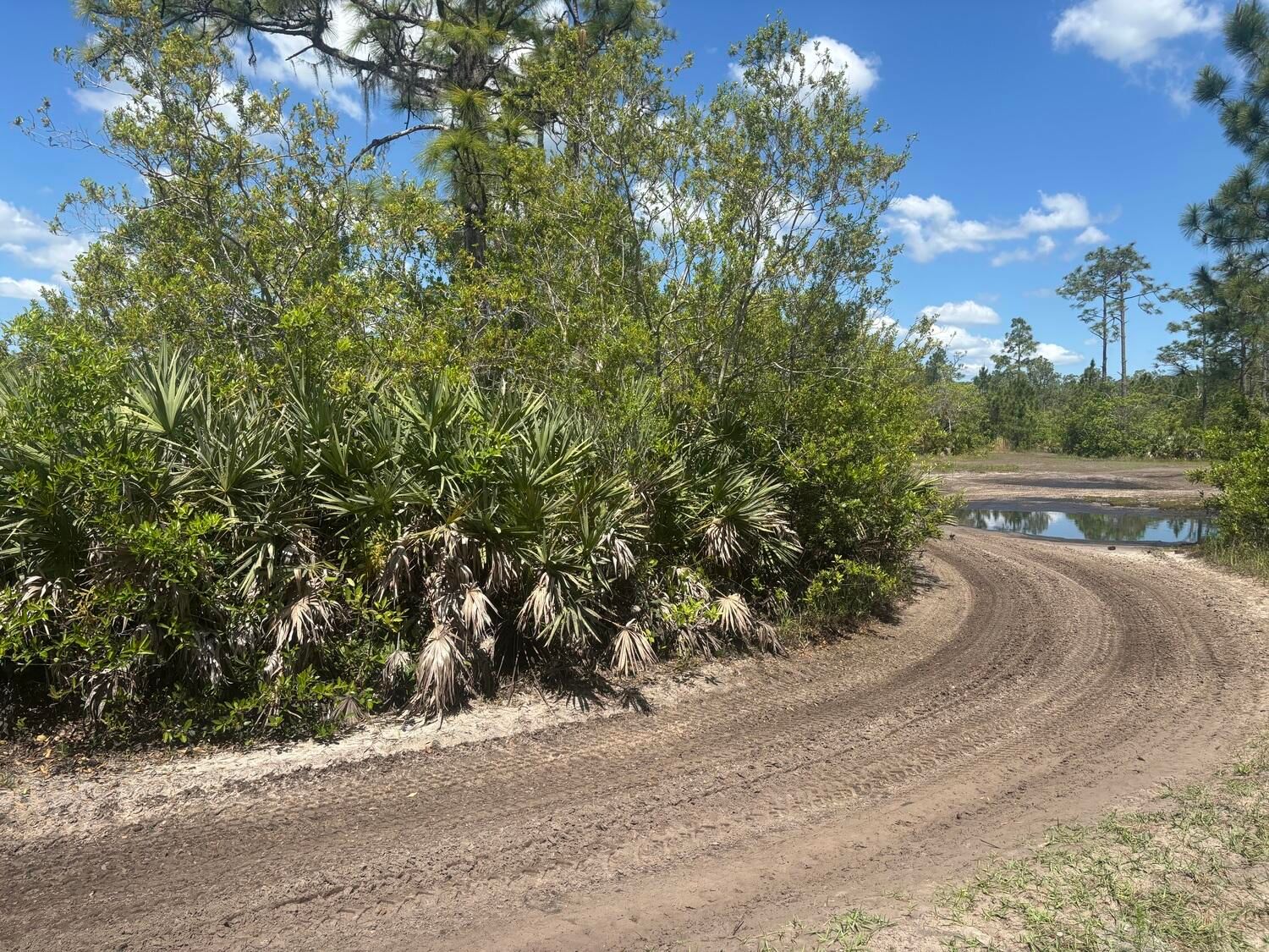 0 Holopaw Groves Road, St Cloud, FL 34772 photo 3