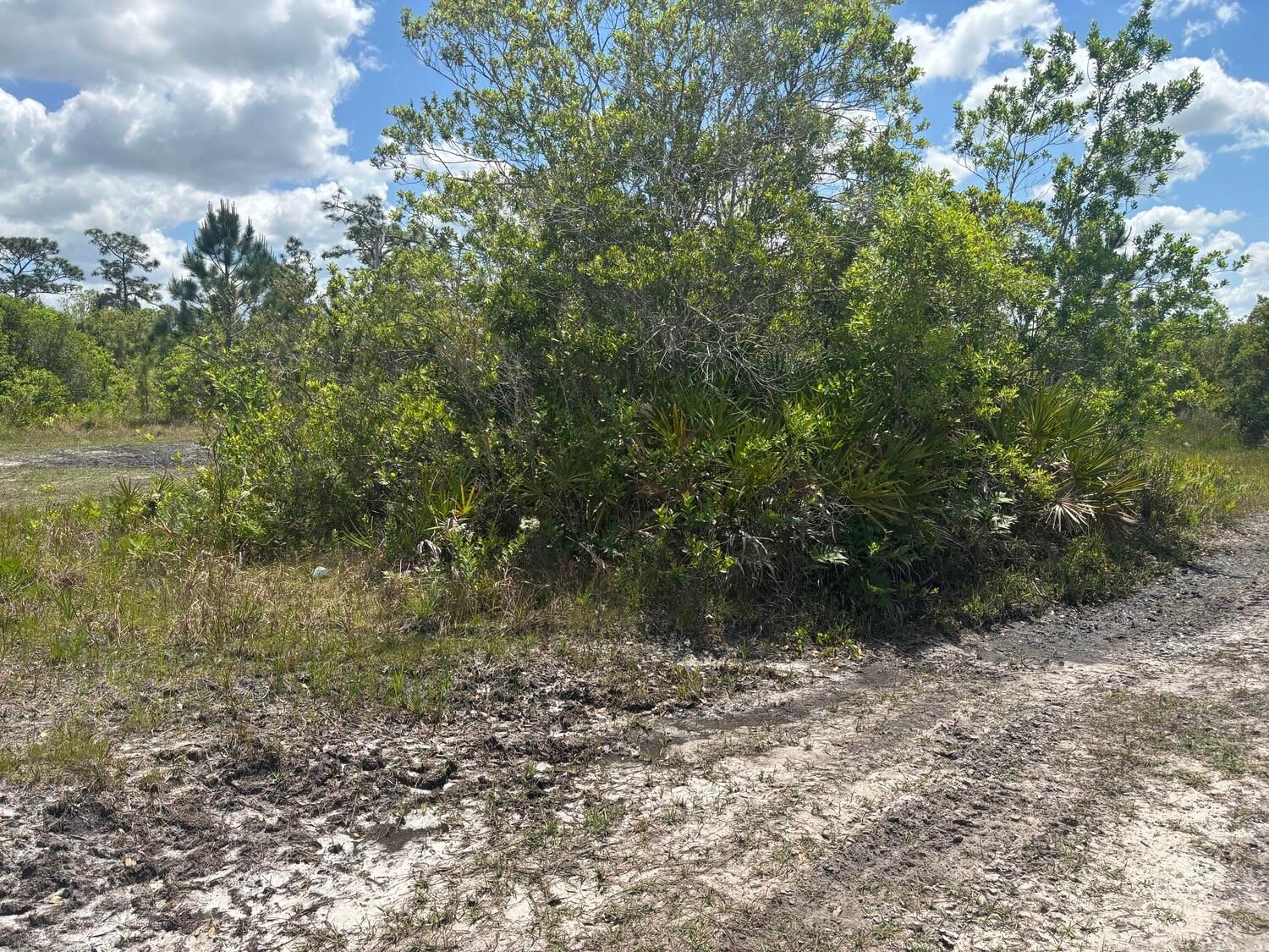 0 Holopaw Groves Road, St Cloud, FL 34772 photo 3