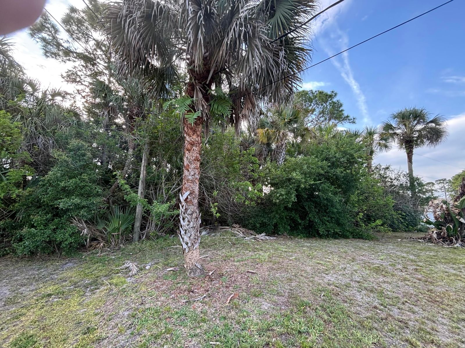 556 NE Burlington Ave Avenue NE, Palm Bay, FL 32907 photo 5
