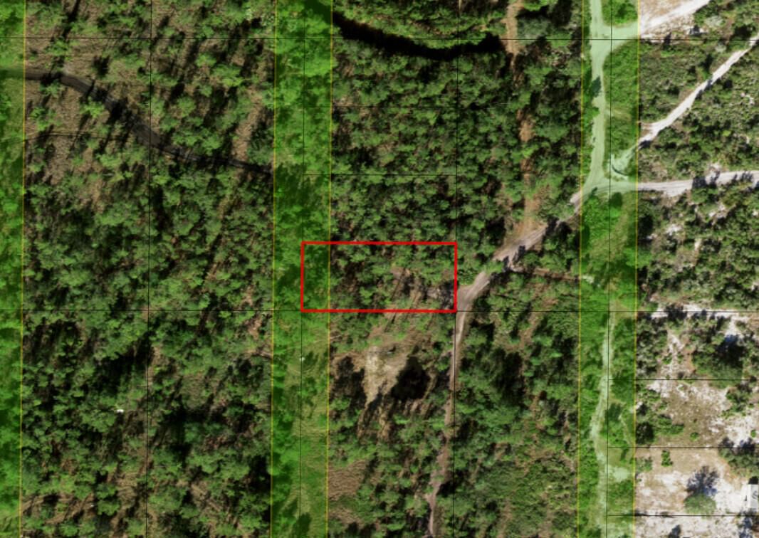 0 Holopaw Groves Road, St Cloud, FL 34772