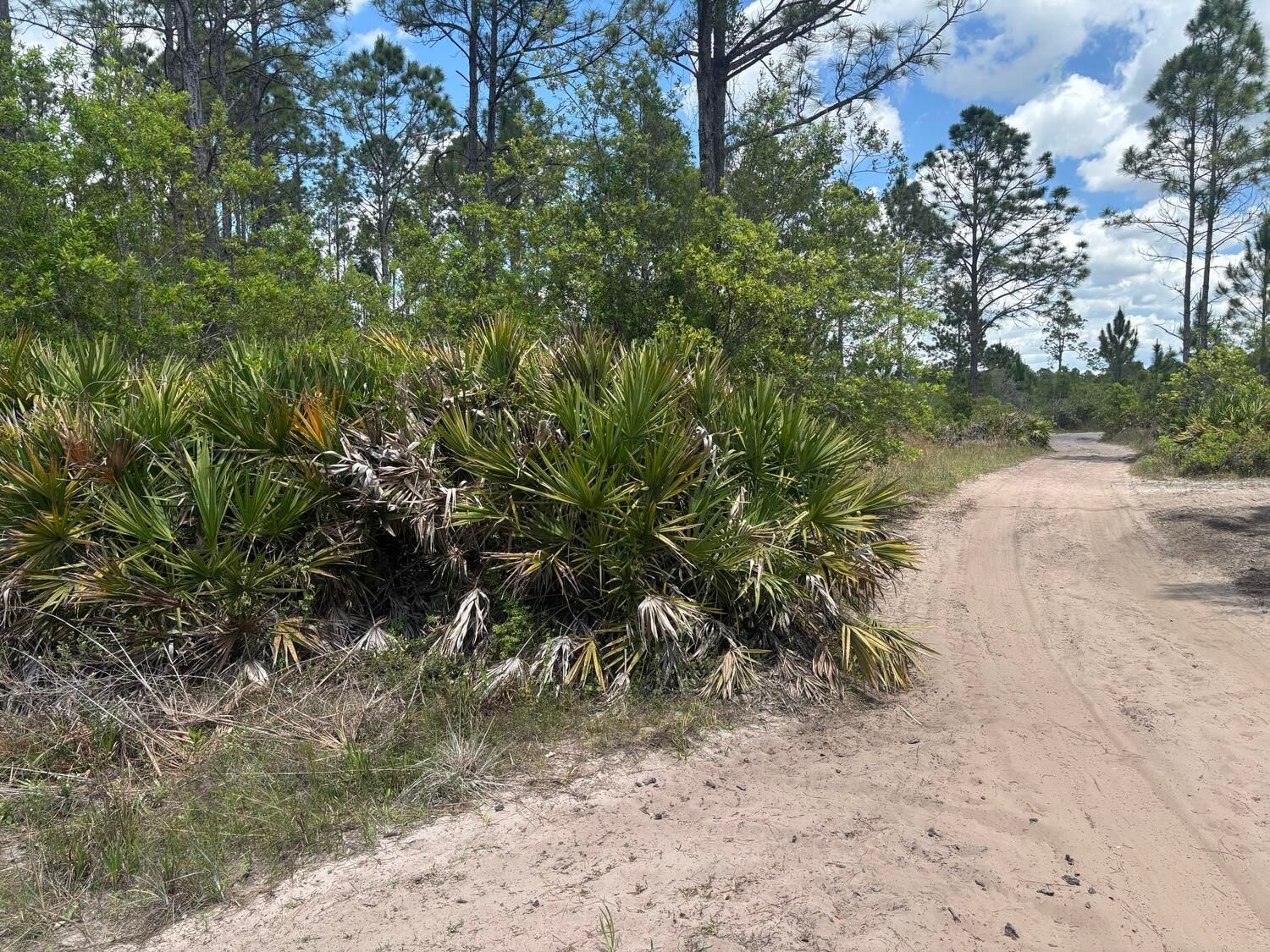 0 Holopaw Groves Road, St Cloud, FL 34772 photo 3