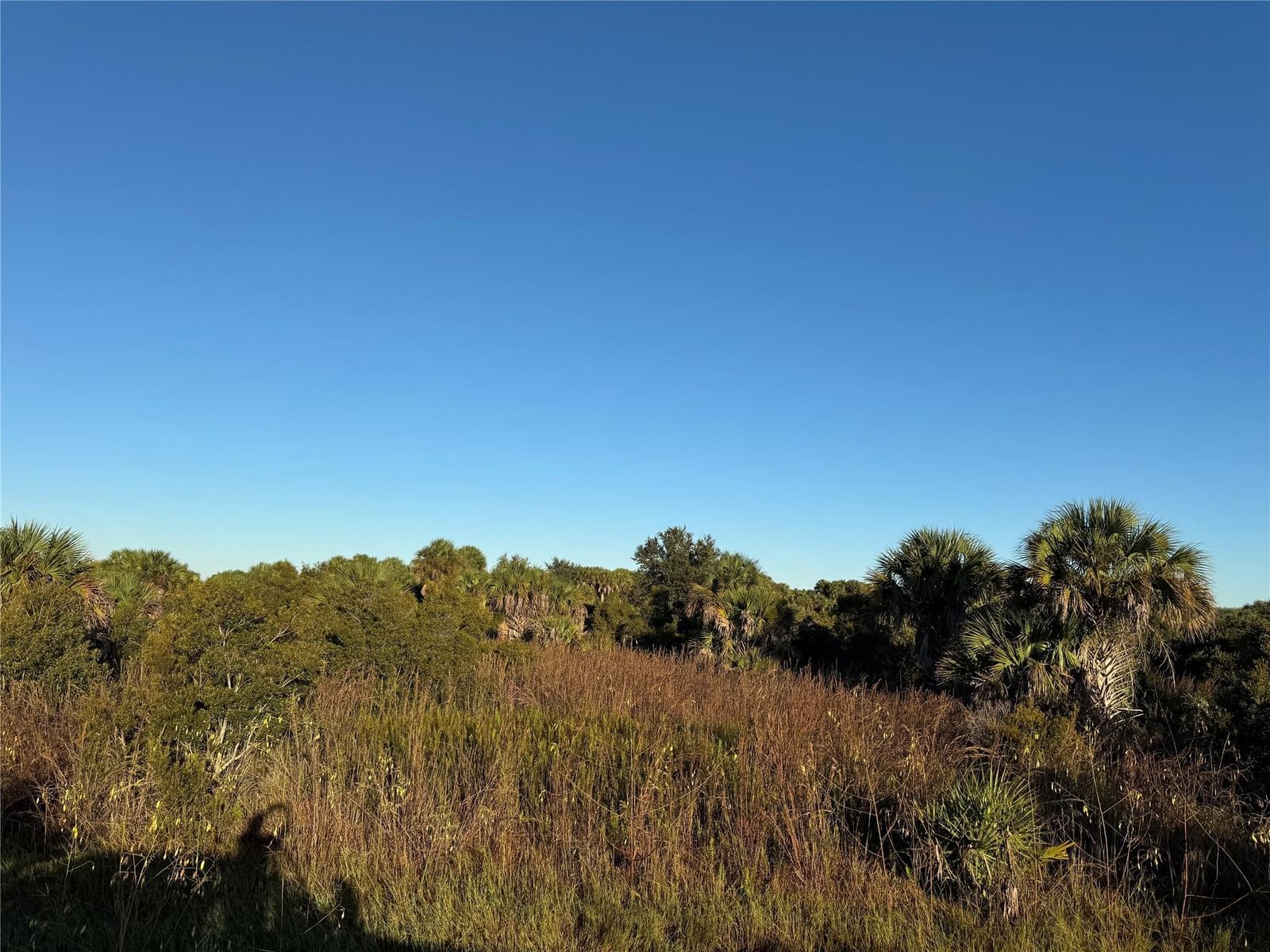 2025 Cabbage Lane, Okeechobee, FL 34974 photo 2
