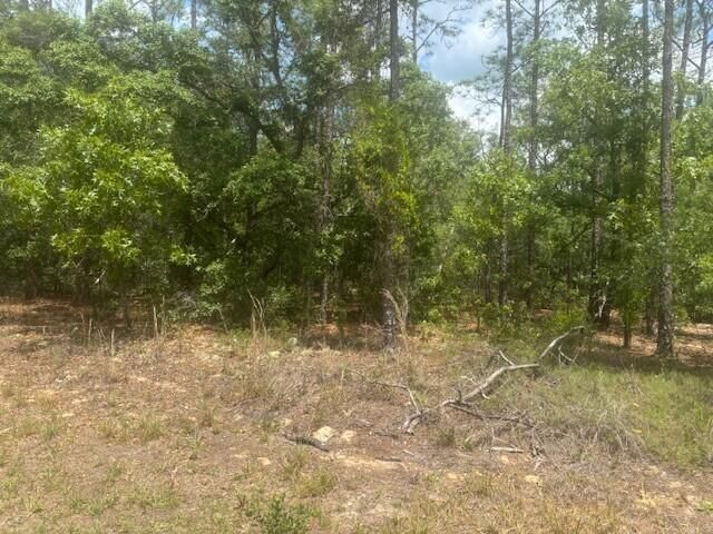 8593 N Bambury Terrace, Citrus Springs, FL 34434 photo 2
