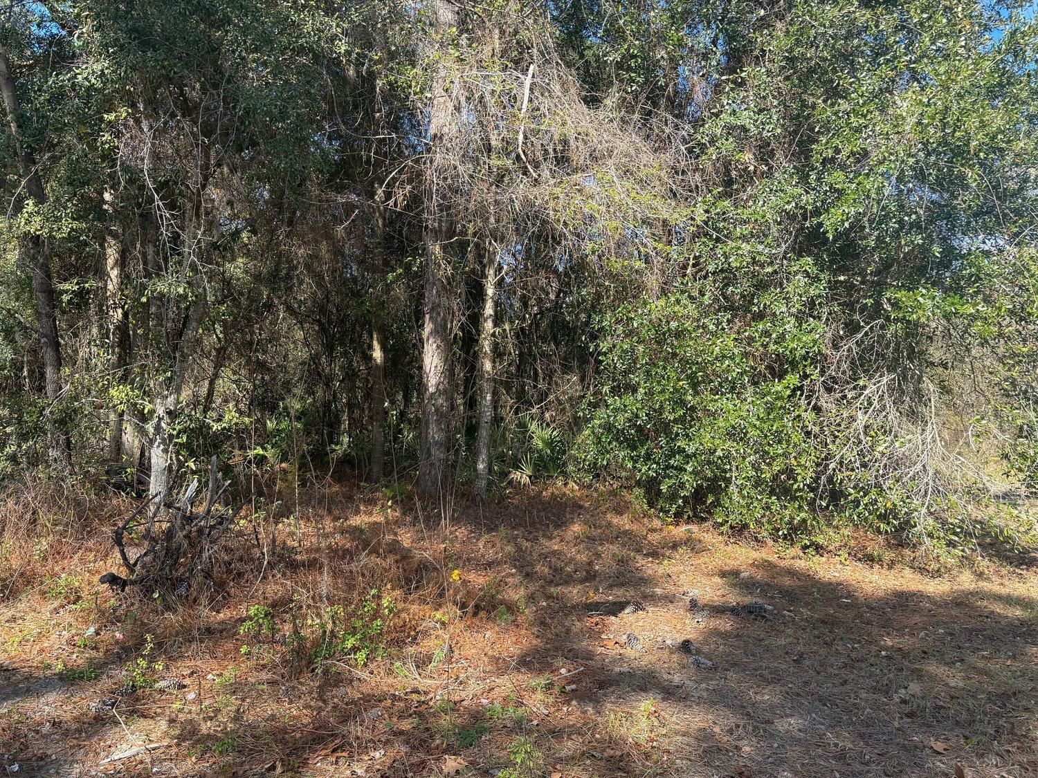 7178 W Wildfire Lane, Homosassa, FL 34448 photo 2