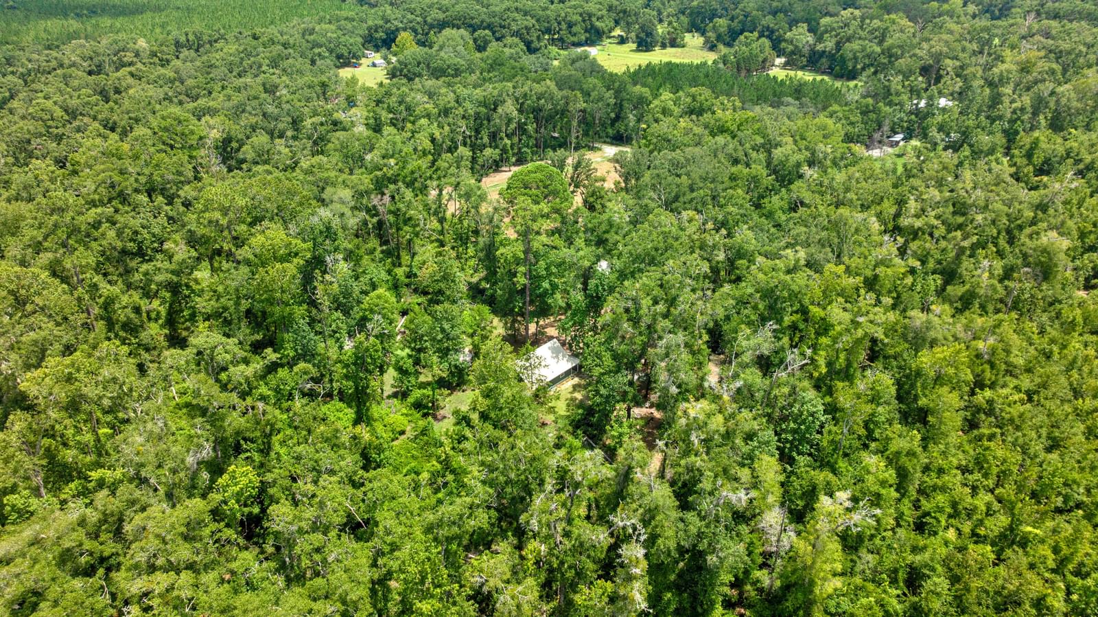 694 SW Quarter Lane, Fort White, FL 32038 photo 3