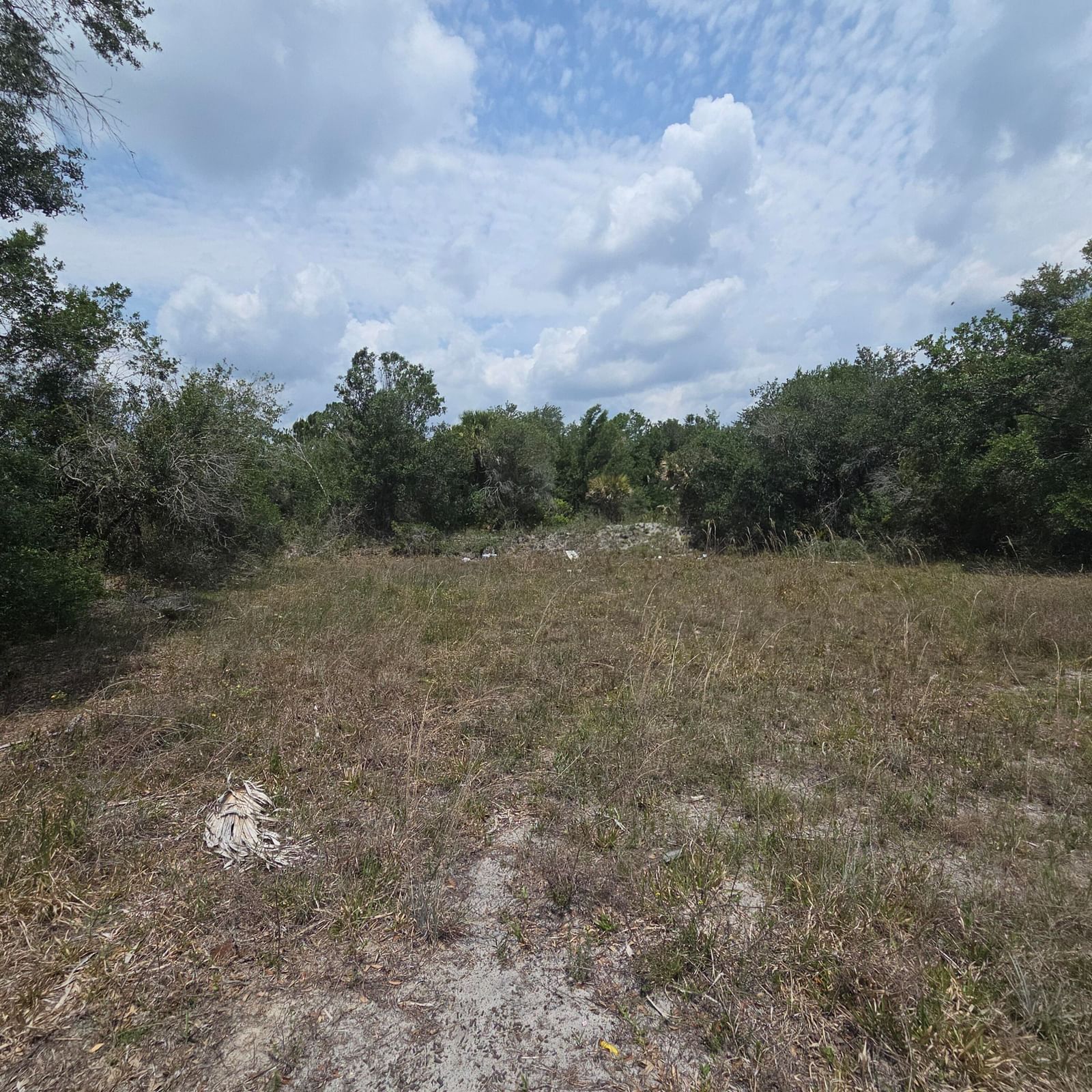 15777 NW 306th Street, Okeechobee, FL 34972 photo 2