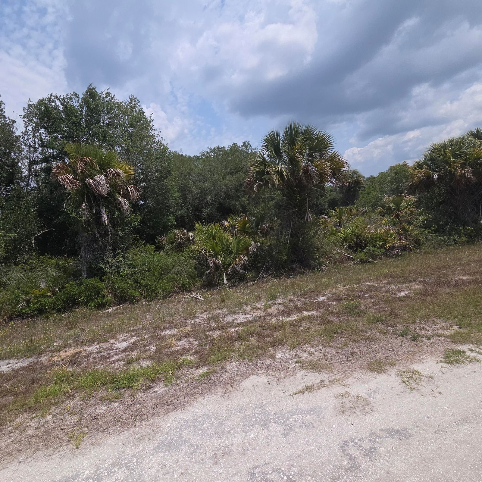 15777 NW 306th Street, Okeechobee, FL 34972 photo 3