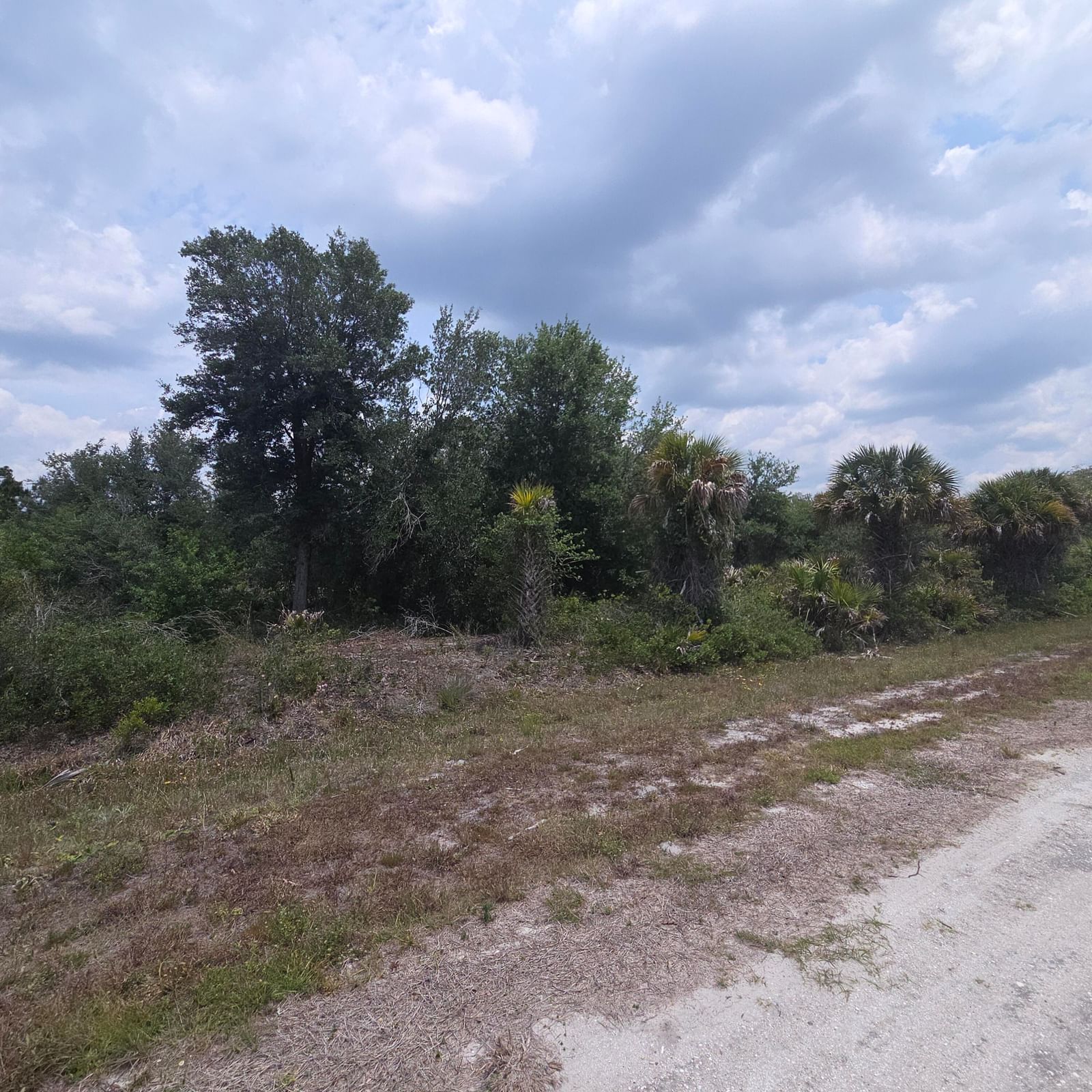 15777 NW 306th Street, Okeechobee, FL 34972 photo 4