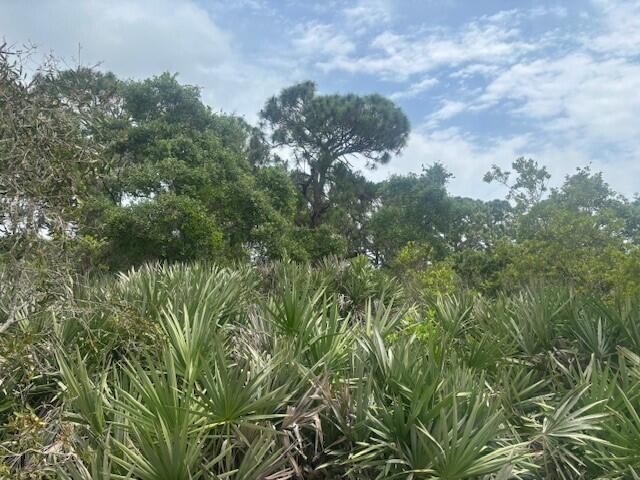 0 Turnpike Feeder Road, Fort Pierce, FL 34945 photo 3