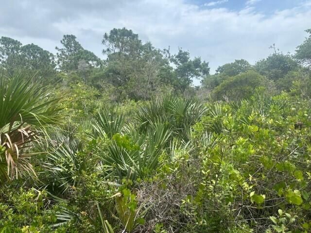 0 Turnpike Feeder Road, Fort Pierce, FL 34945 photo 4