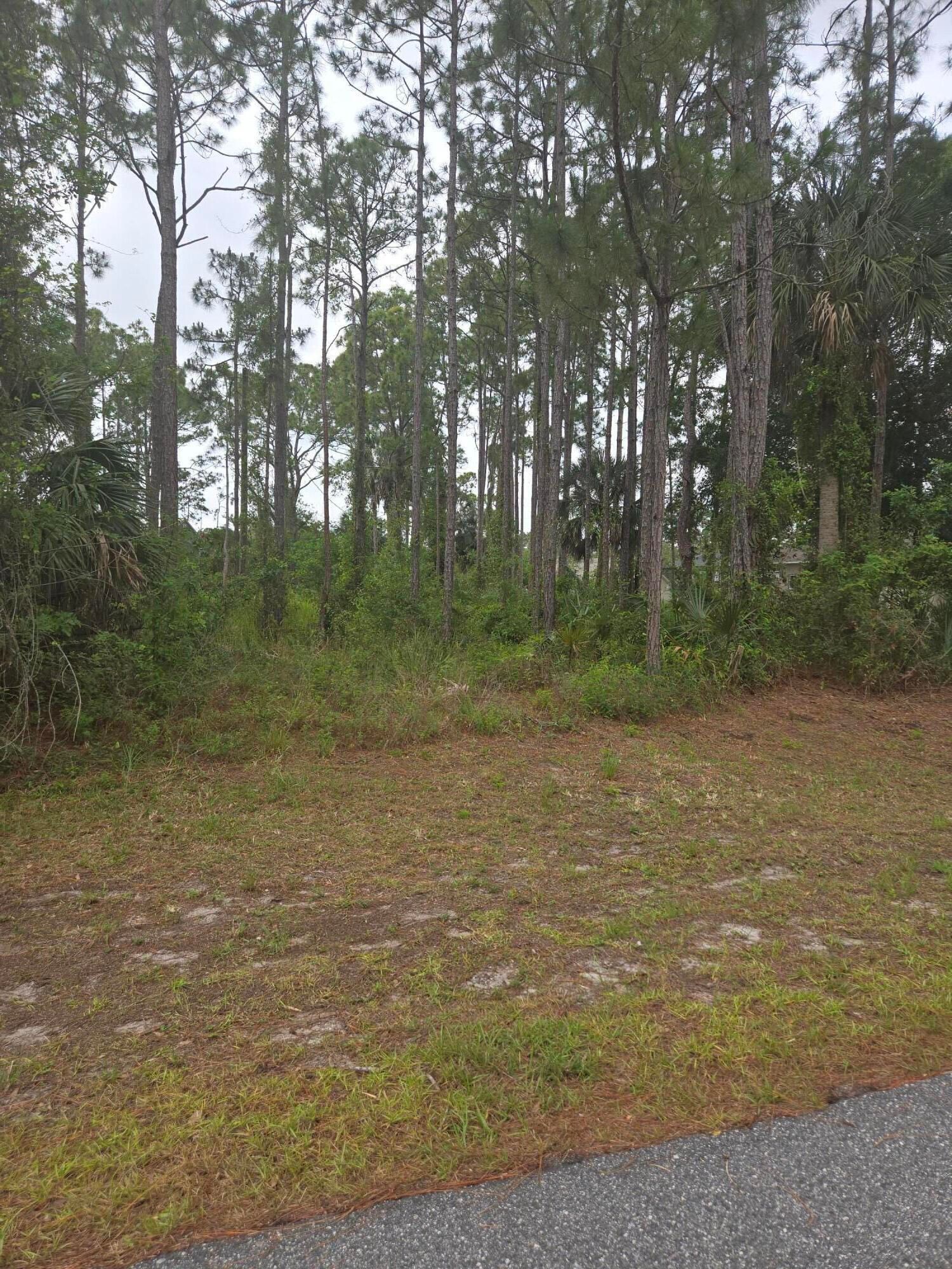 1836 Pindo Court NW, Palm Bay, FL 32909