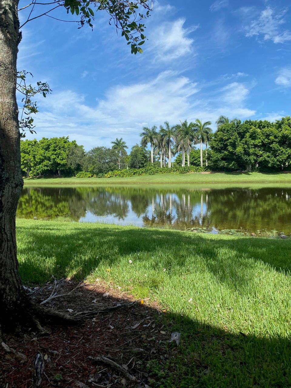 2253 Salerno Circle #2253, Weston, FL 33327 photo 3