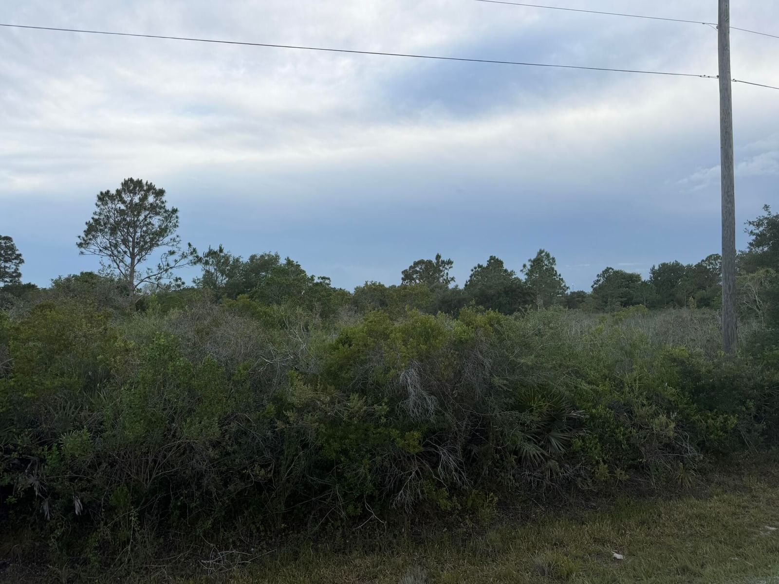 15840 NW 298th Street, Okeechobee, FL 34972 photo 3