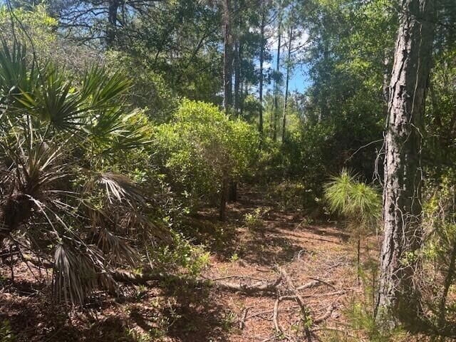 0 Golden Shores Blvd, Mims, FL 32754 photo 2