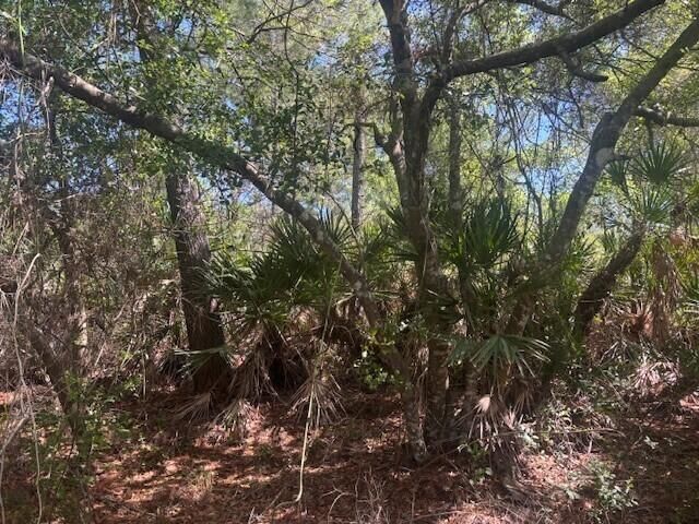0 Golden Shores Blvd, Mims, FL 32754 photo 5