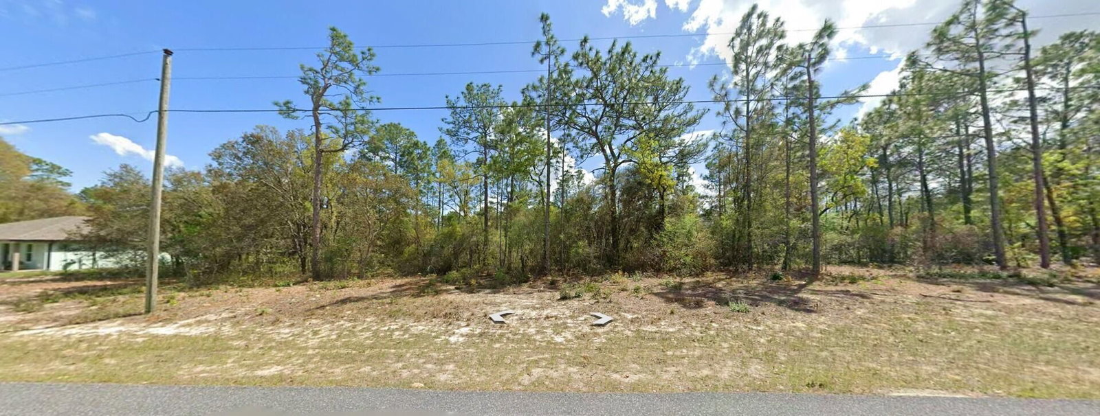 9029 N Saponaria Drive, Citrus Springs, FL 34433 photo 2