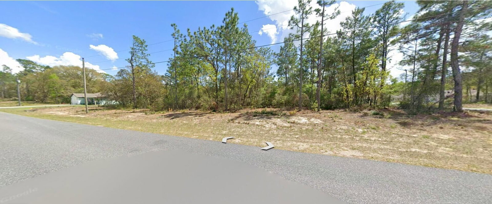 9029 N Saponaria Drive, Citrus Springs, FL 34433 photo 4