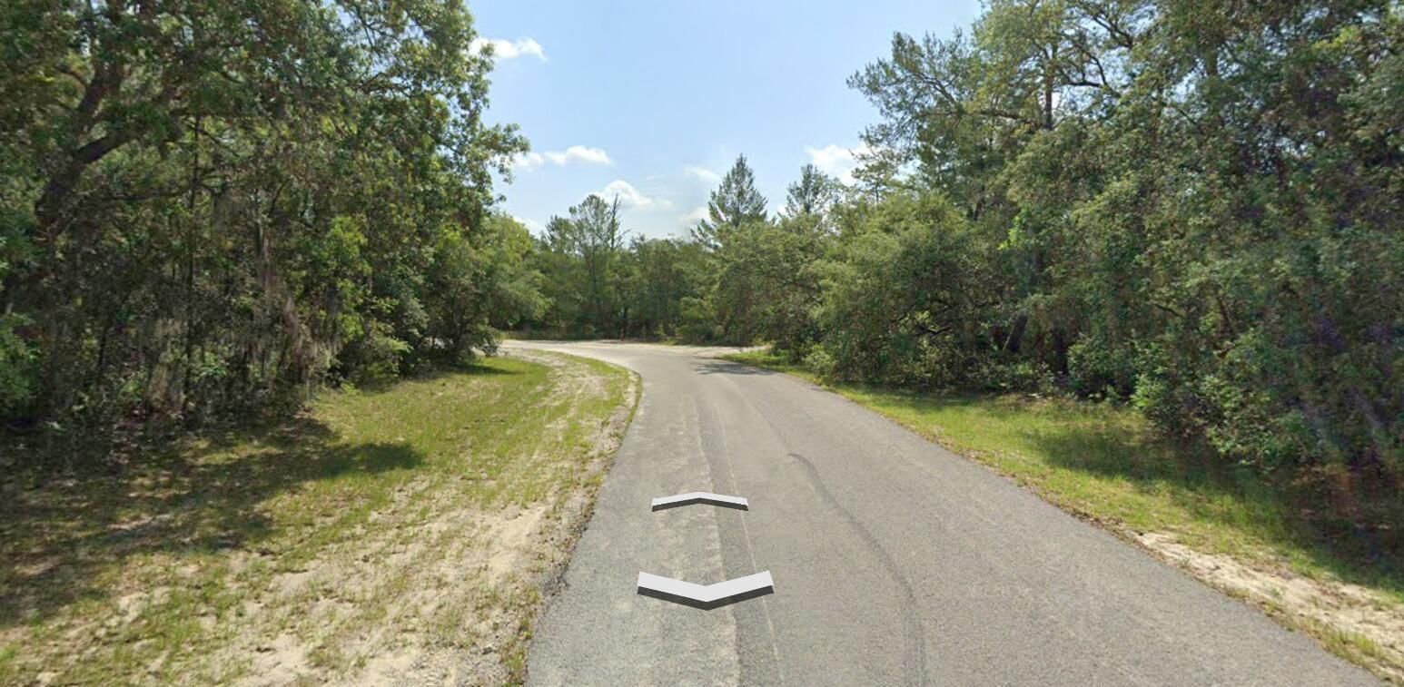 Tbd SW 72nd Circle, Dunnellon, FL 34432 photo 3