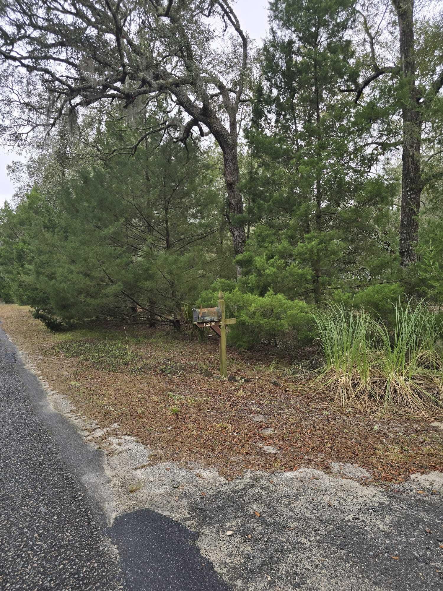 12890 NW 90th Avenue, Chiefland, FL 32626 photo 4