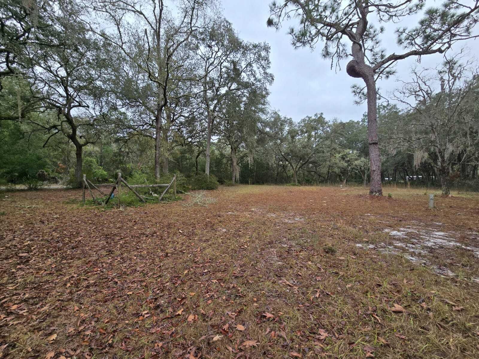 12890 NW 90th Avenue, Chiefland, FL 32626 photo 5