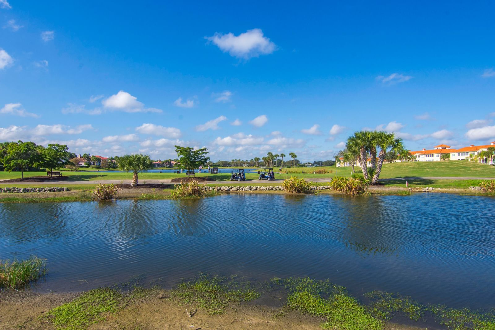 5045 Harmony Circle #209, Vero Beach, FL 32967 photo 3