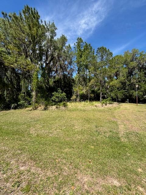 3303 N Canterbury Lake Drive, Hernando, FL 34442 photo 2