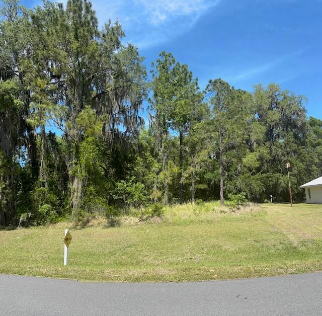 3303 N Canterbury Lake Drive, Hernando, FL 34442 photo 3