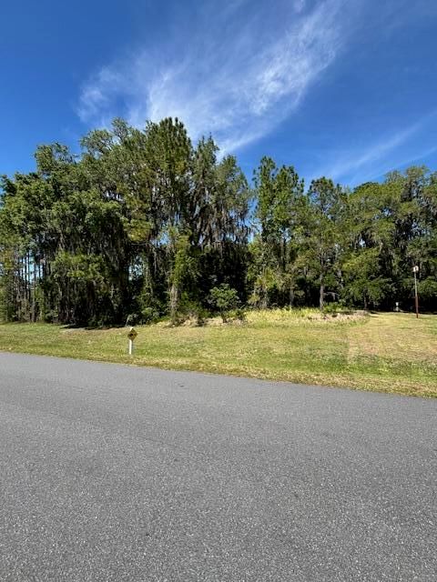 3303 N Canterbury Lake Drive, Hernando, FL 34442 photo 4