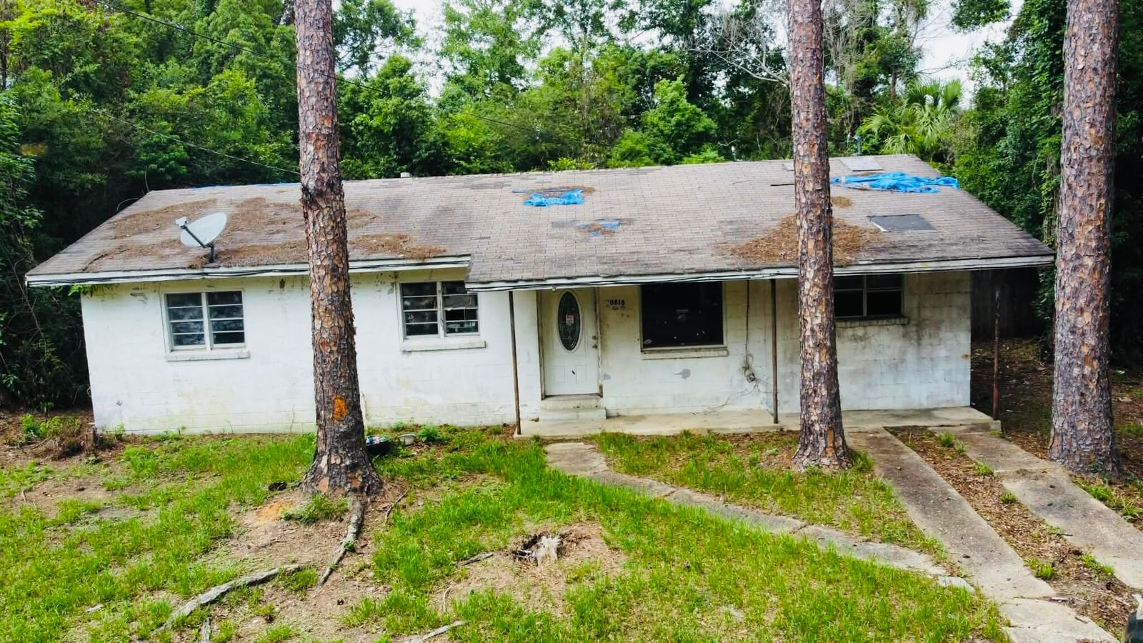 20816 SE Ray Avenue, Blountstown, FL 32424 photo 2