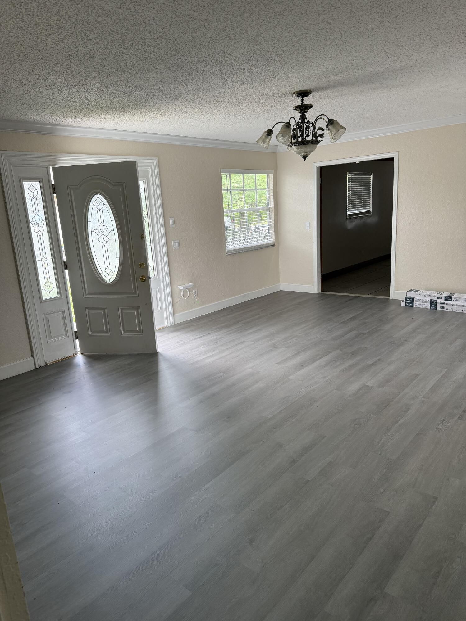 4403 Anna Lane, Palm Springs, FL 33406 photo 4