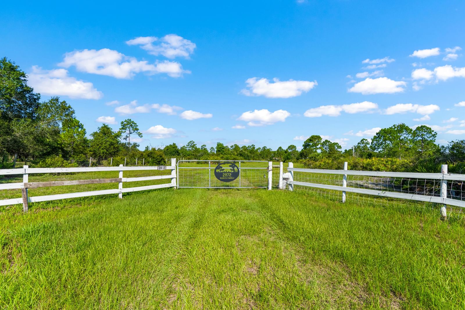 2872 Secretariat Drive, Labelle, FL 33935 photo 3