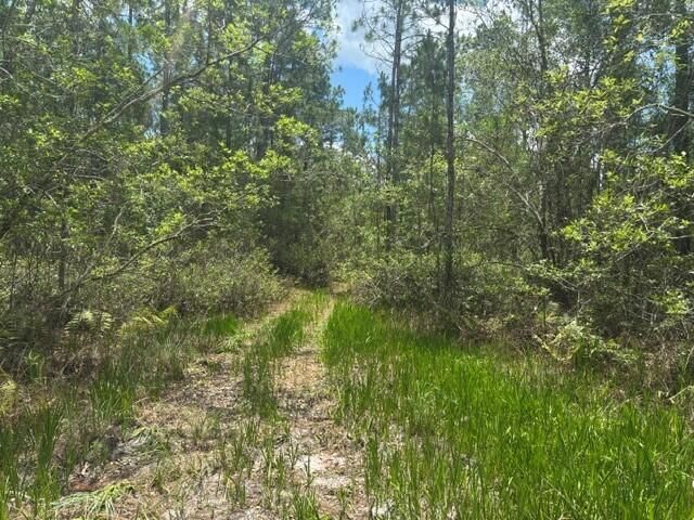 0 Water Road, Clermont, FL 33868 photo 2