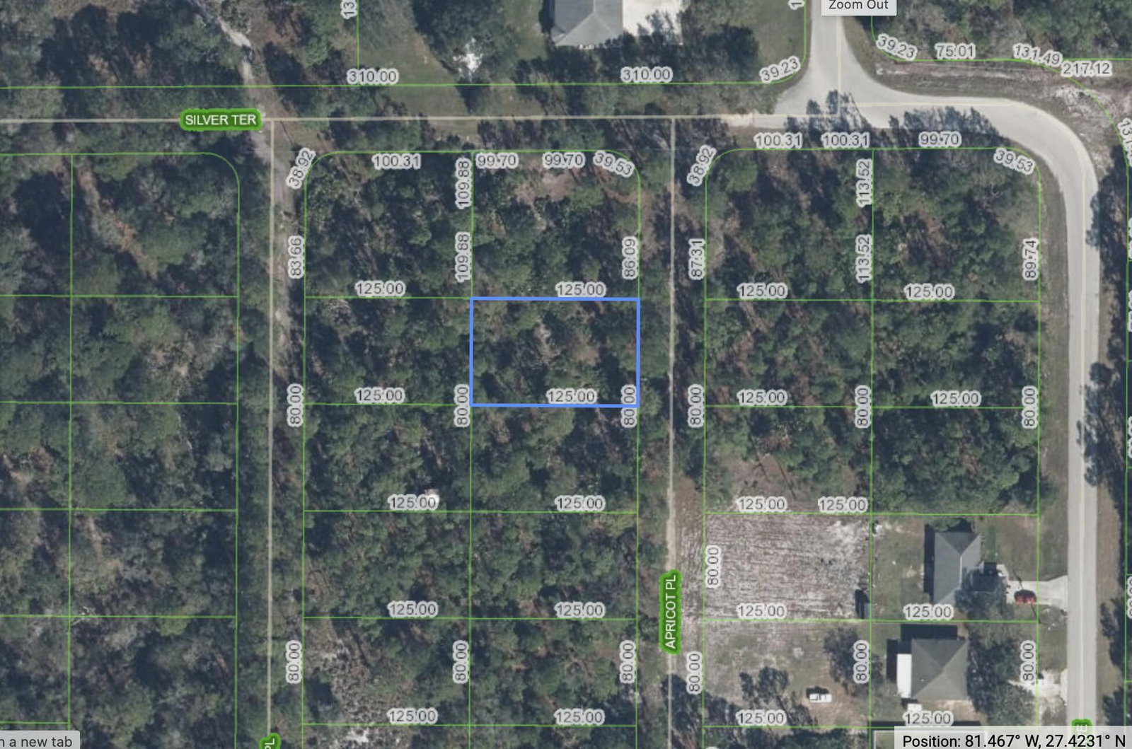 6503 E Apricot Place, Sebring, FL 33875 photo 2